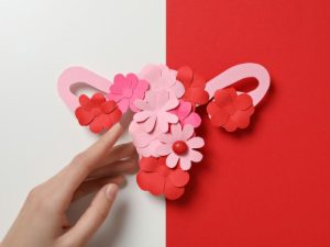 Menopause and Perimenopause Support in Melbourne